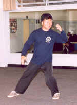 AD8-11-03k.jpg (45995 bytes)